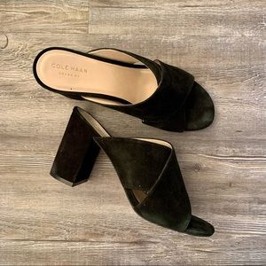 Cole Haan Suede Chunky Heeled Sandals